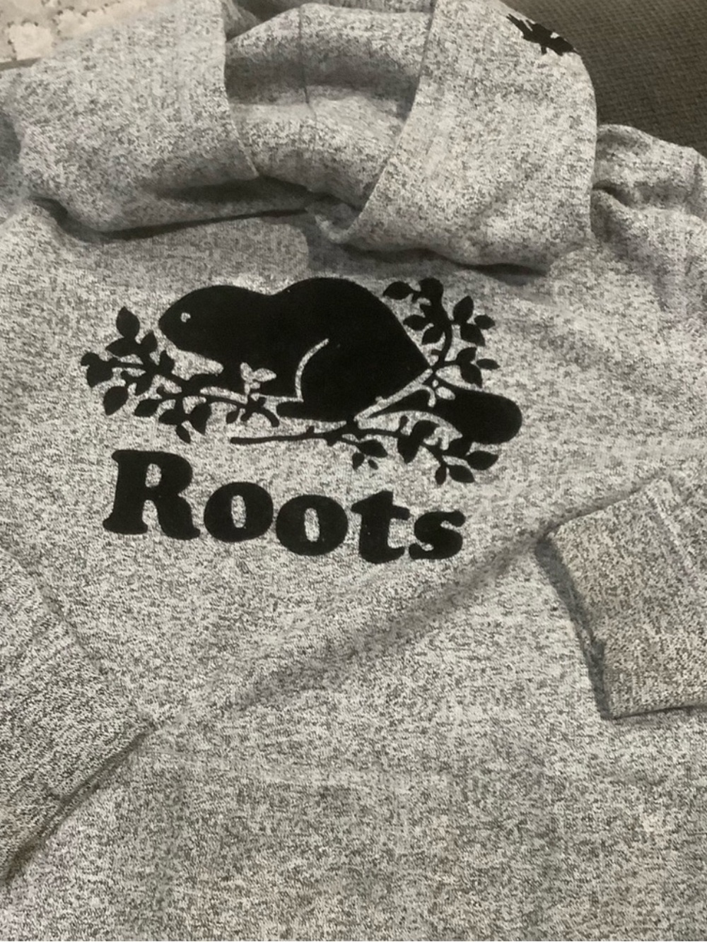Roots Original Hoodie Sweatshirt in Salt and Pepper